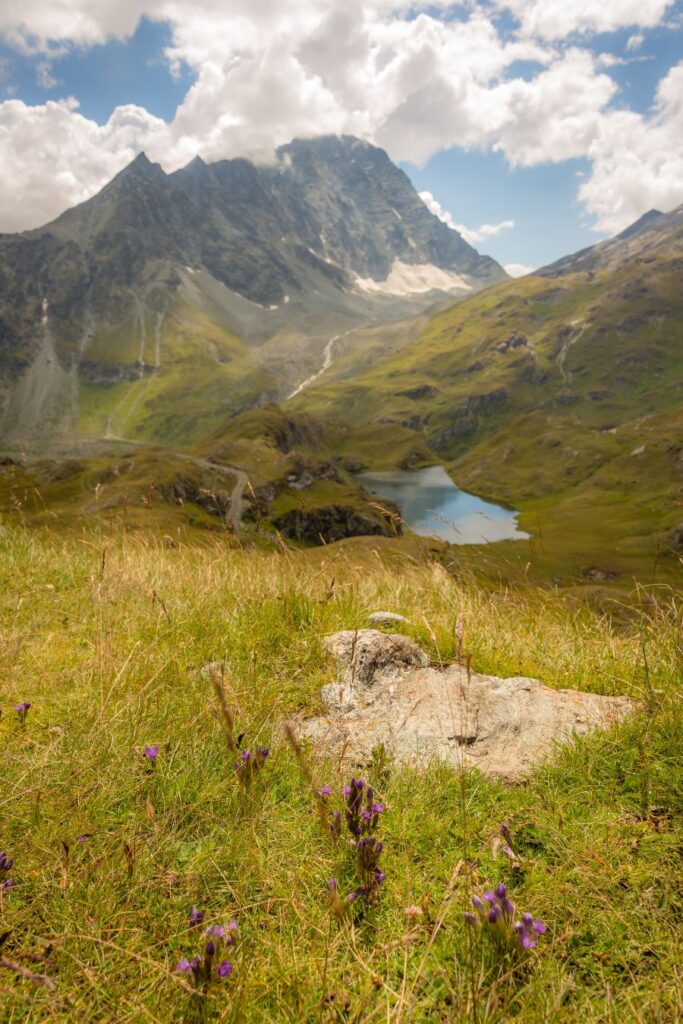 verbier summer activities