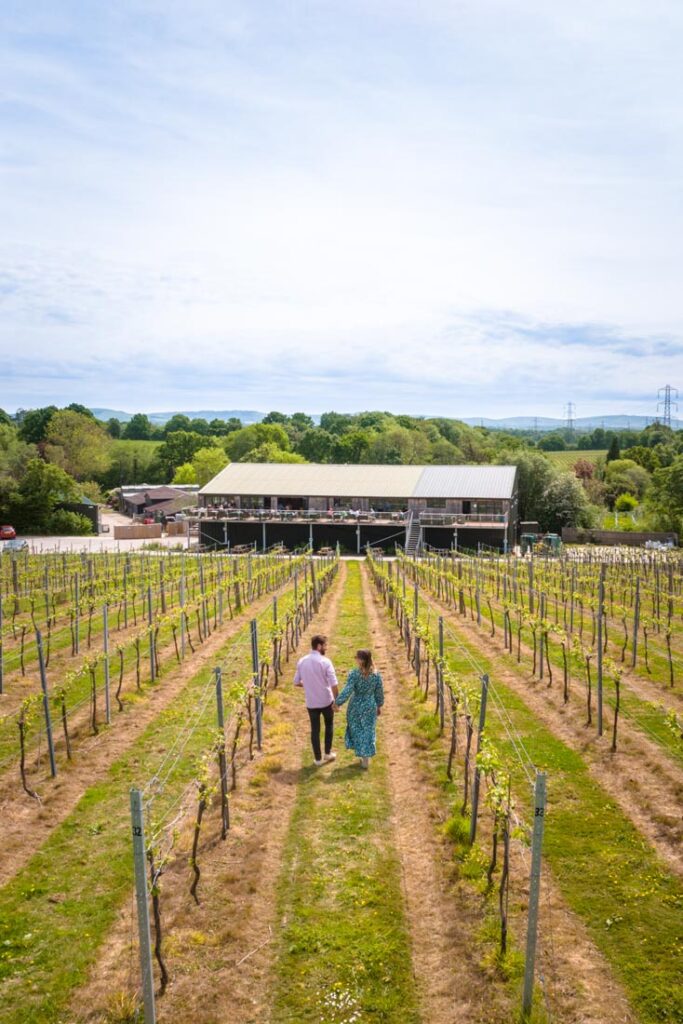 bolney wine estate