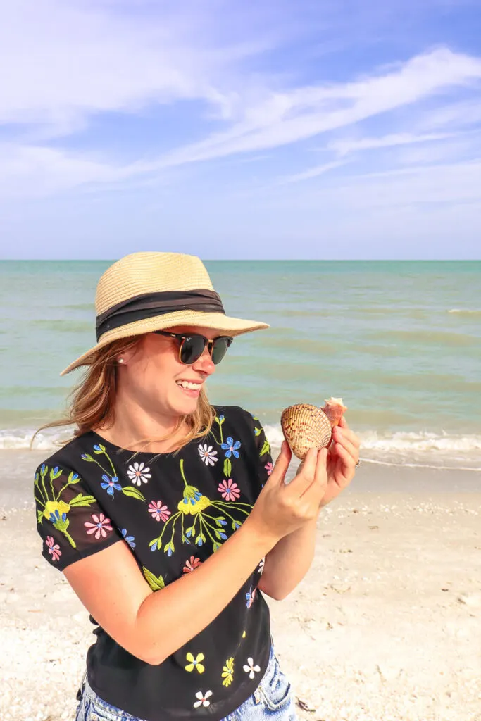 shells florida beach