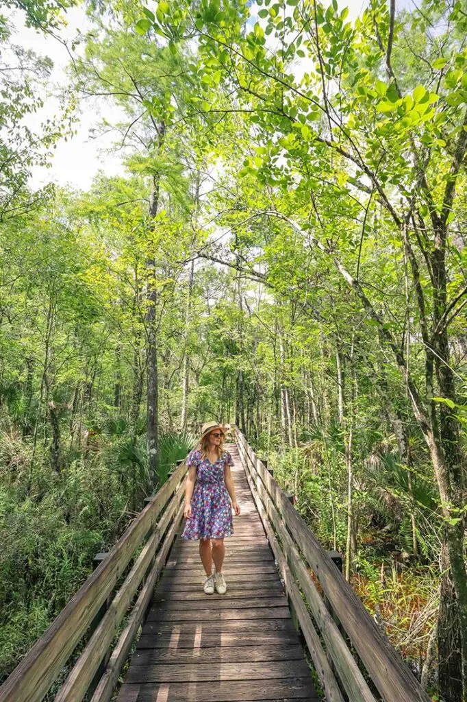 six mile cypress slough