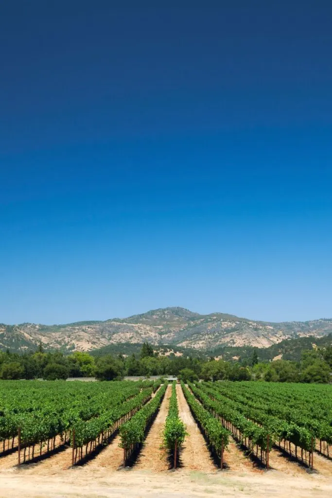 nc day trips from rayleigh