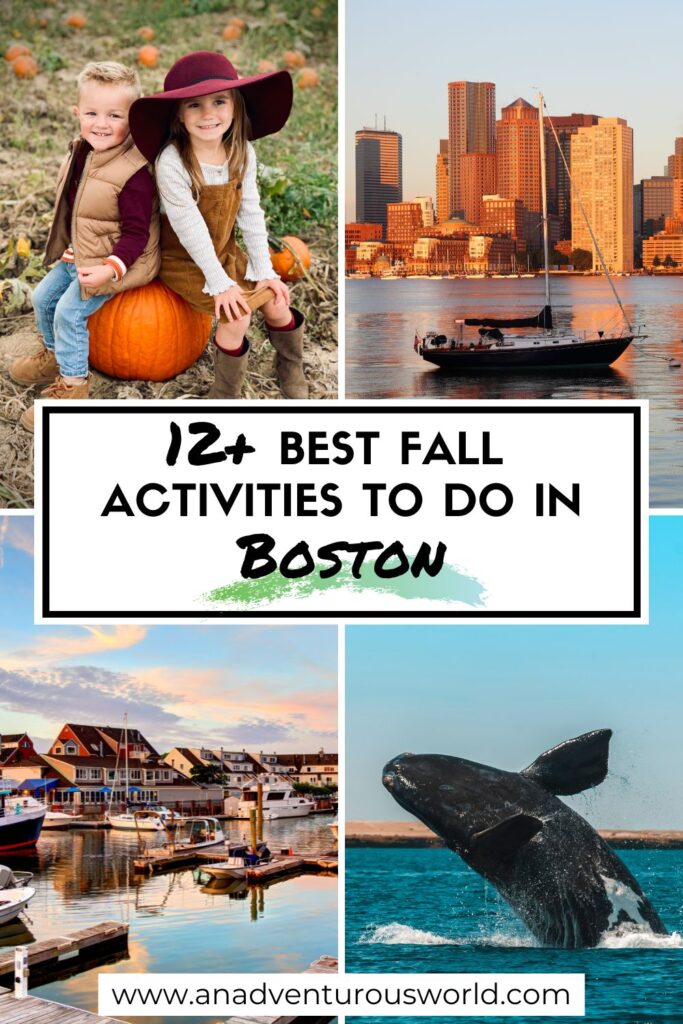 12+ BEST Things to do in Boston in the Fall