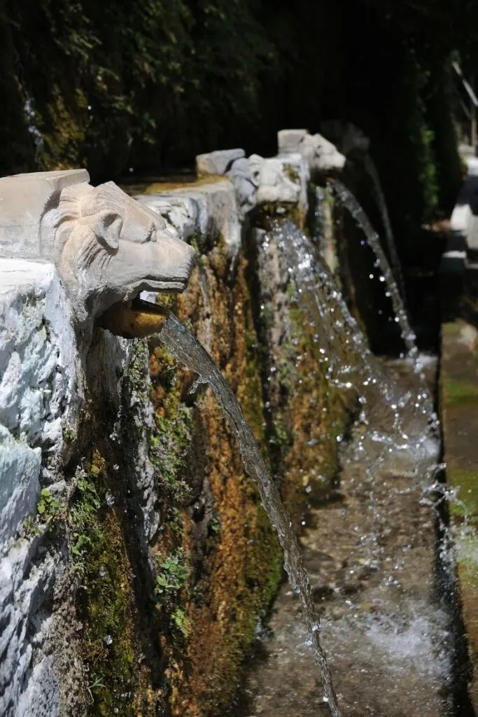 spring of dionysus menites