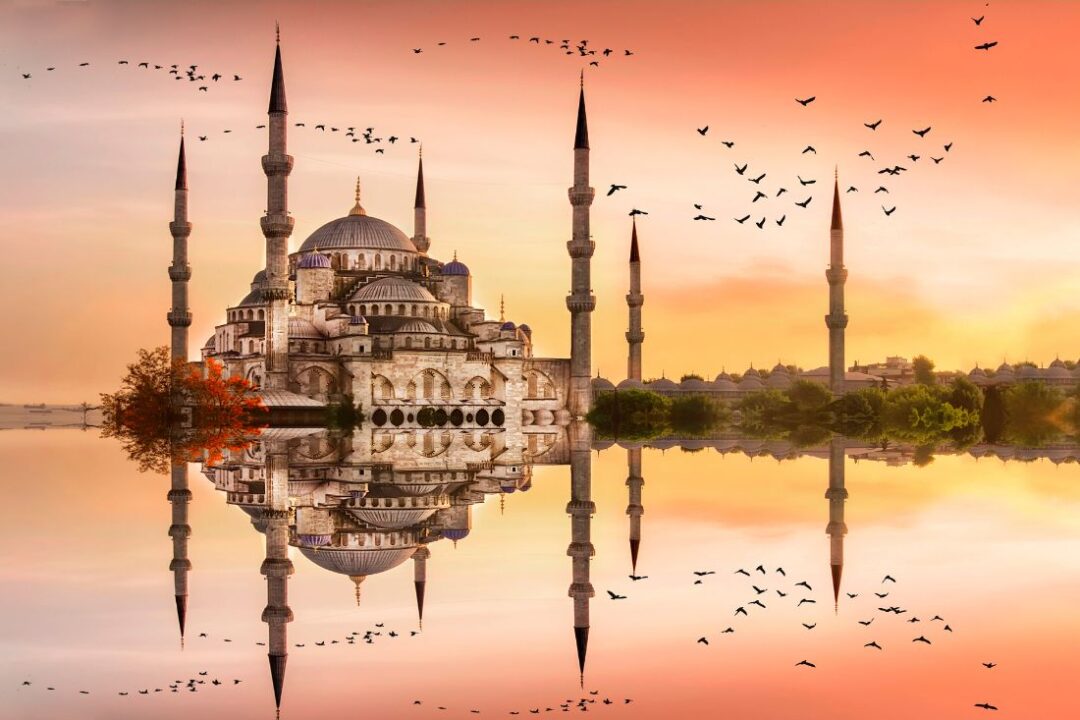 What to Eat in Istanbul 14 Foods You Have to Try in Istanbul (2024 Guide)