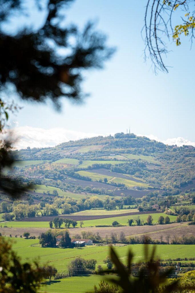 marche italy