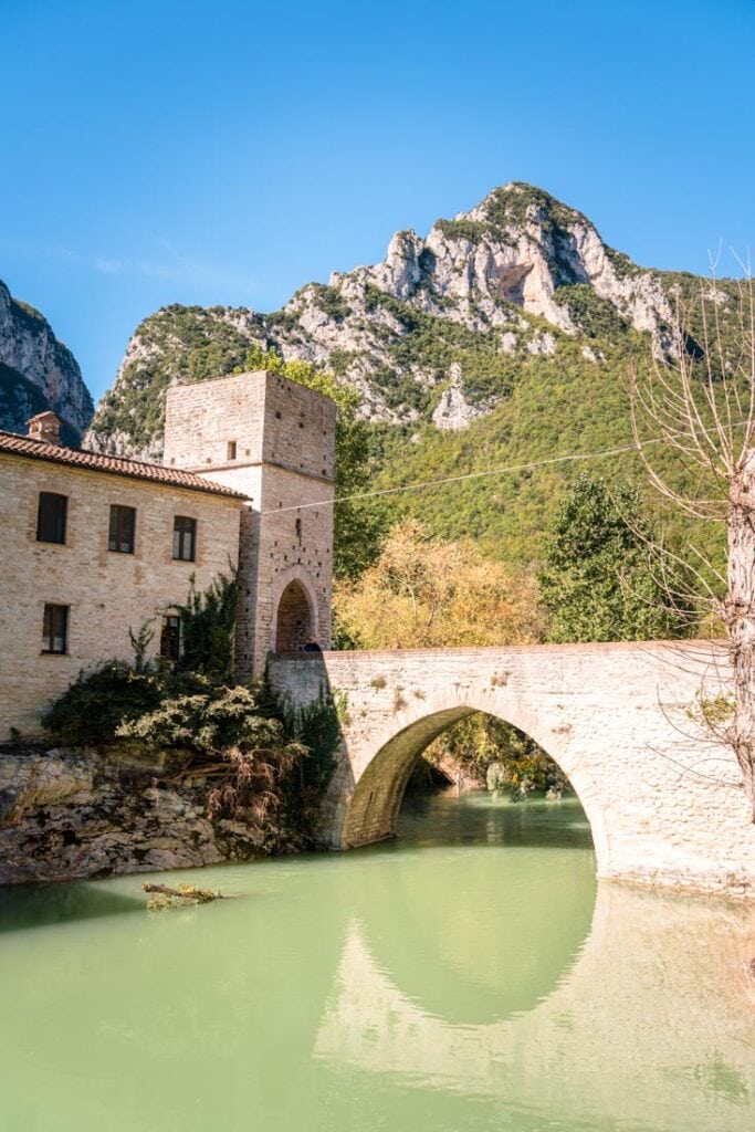 whats new in marche italy