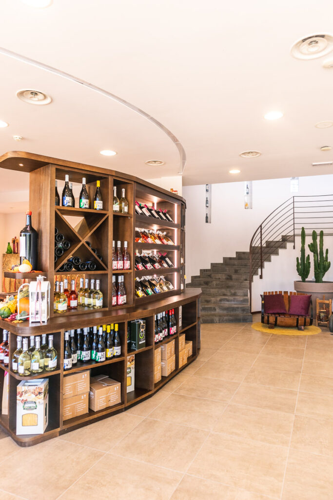 wine tour marche