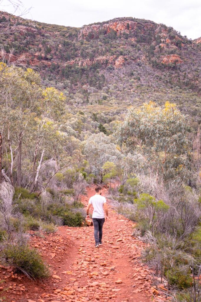 arkaroo hike