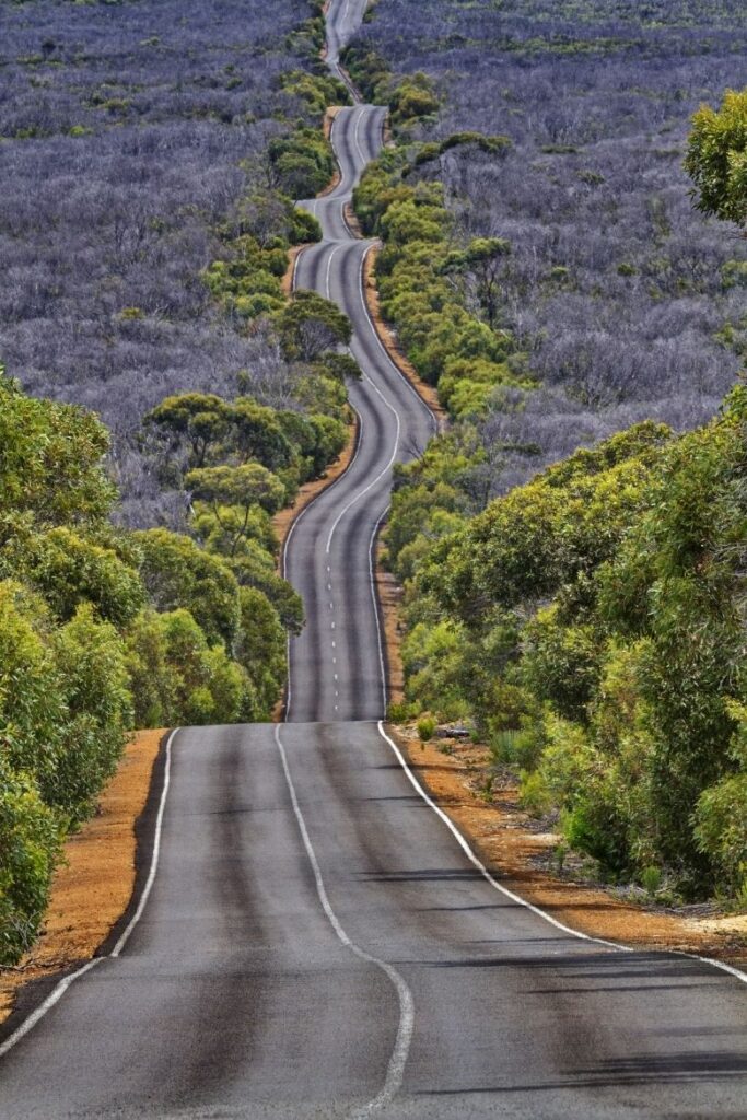 driving flinders chase national park