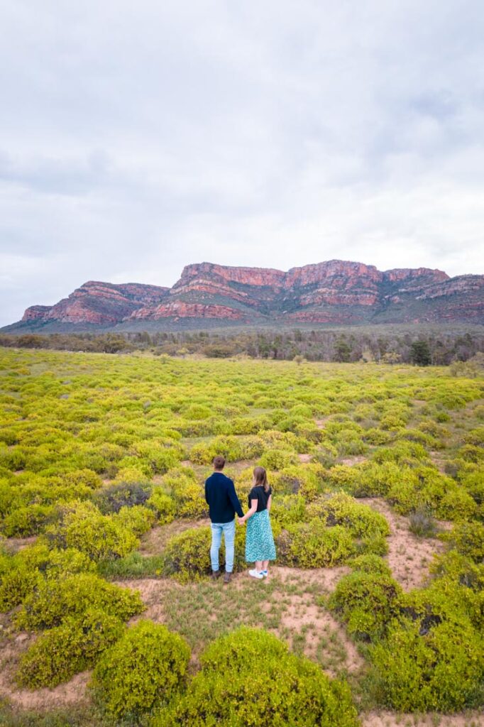 flinders ranges itinerary