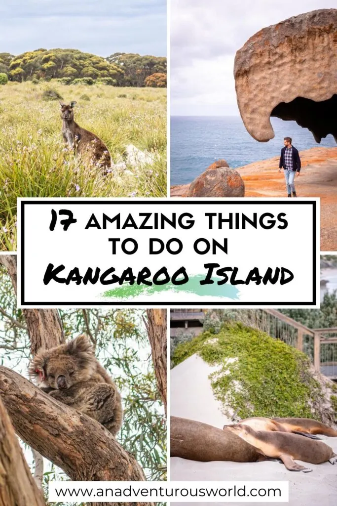 17 Things to do on Kangaroo Island, South Australia