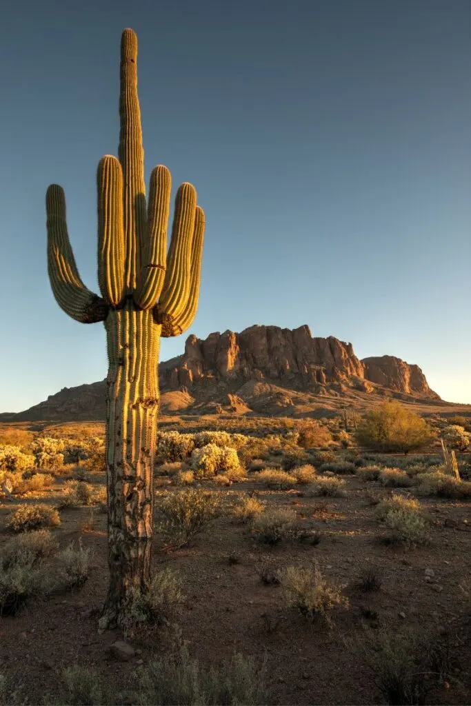 phoenix arizona winter