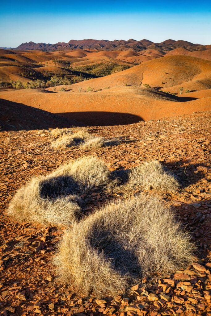 when is the best time to visit flinders ranges