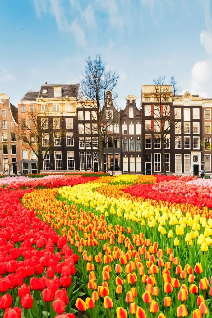 best boutique hotels in amsterdam