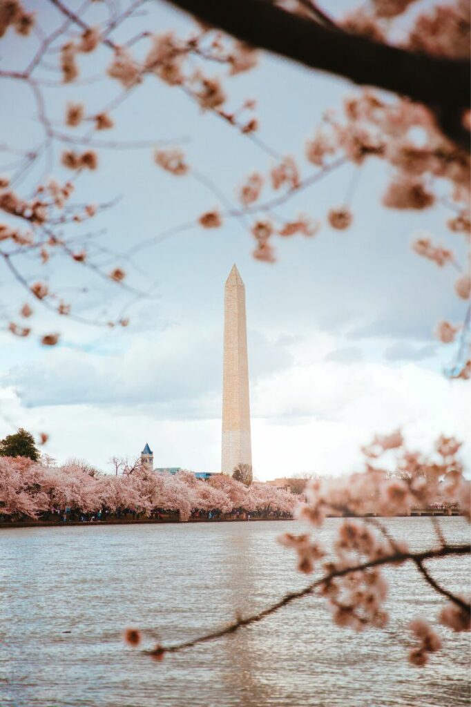 best things to do in washington dc in spring
