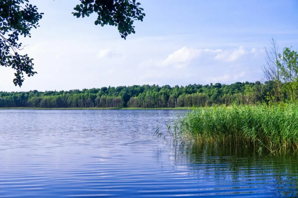 brandenburg lakes