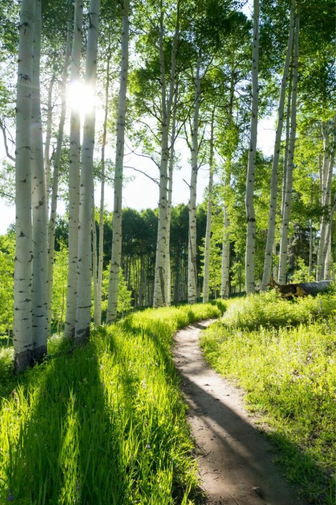 hiking in colorado