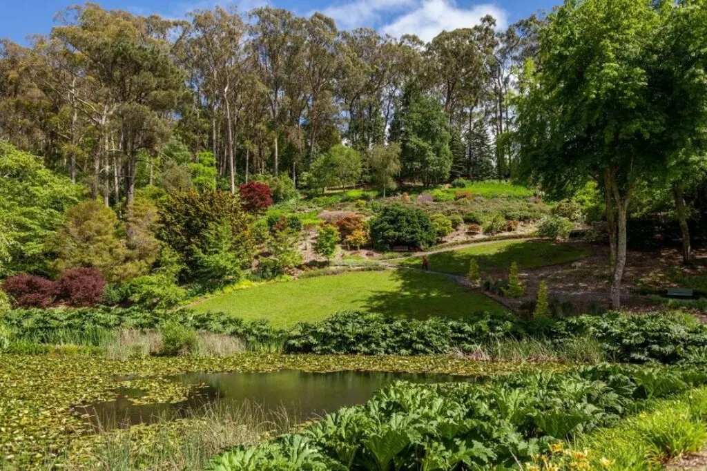 mount lofty botanic gardens