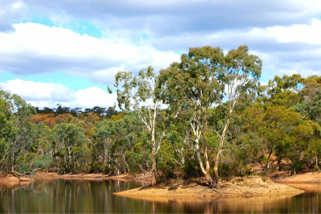 para wirra conservation park