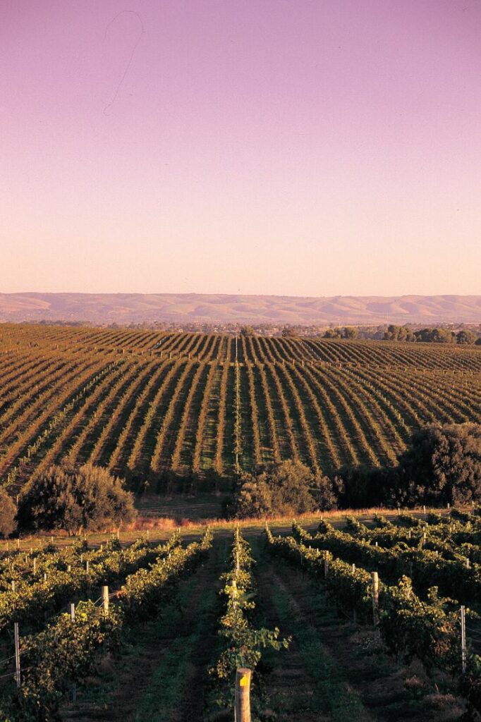 short trips from adelaide