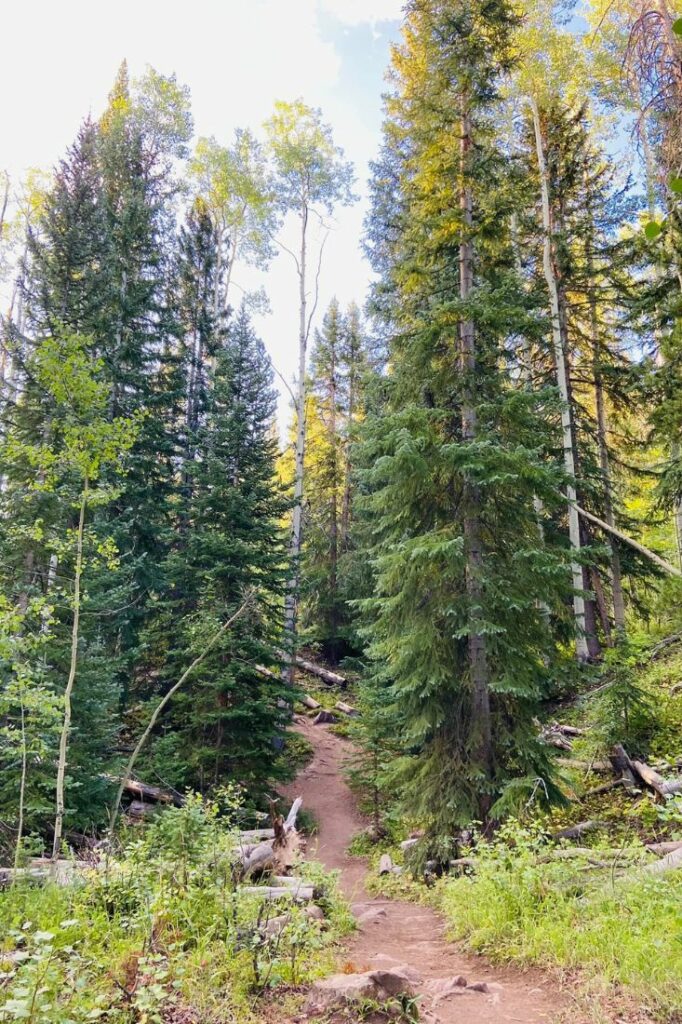 summer hiking in vail