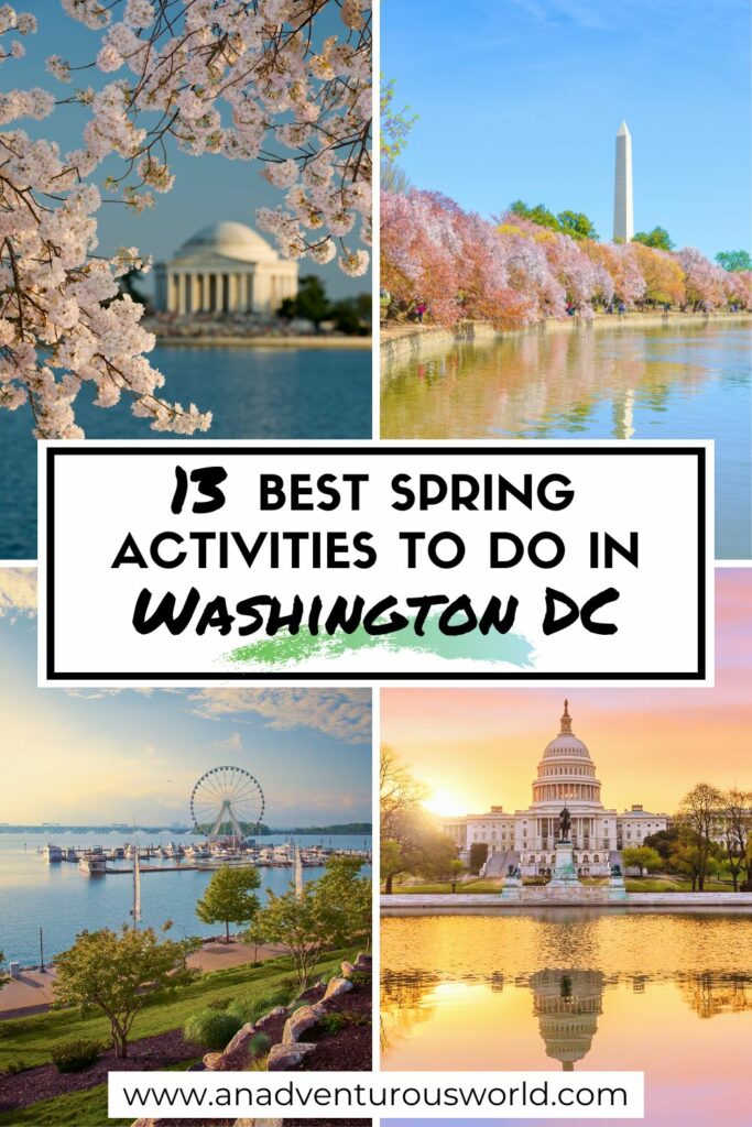13 BEST Things to do in Washington DC in Spring