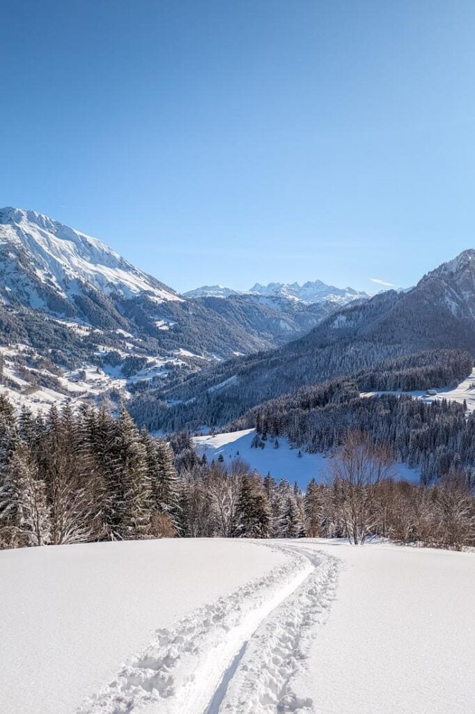 whats new in chatel