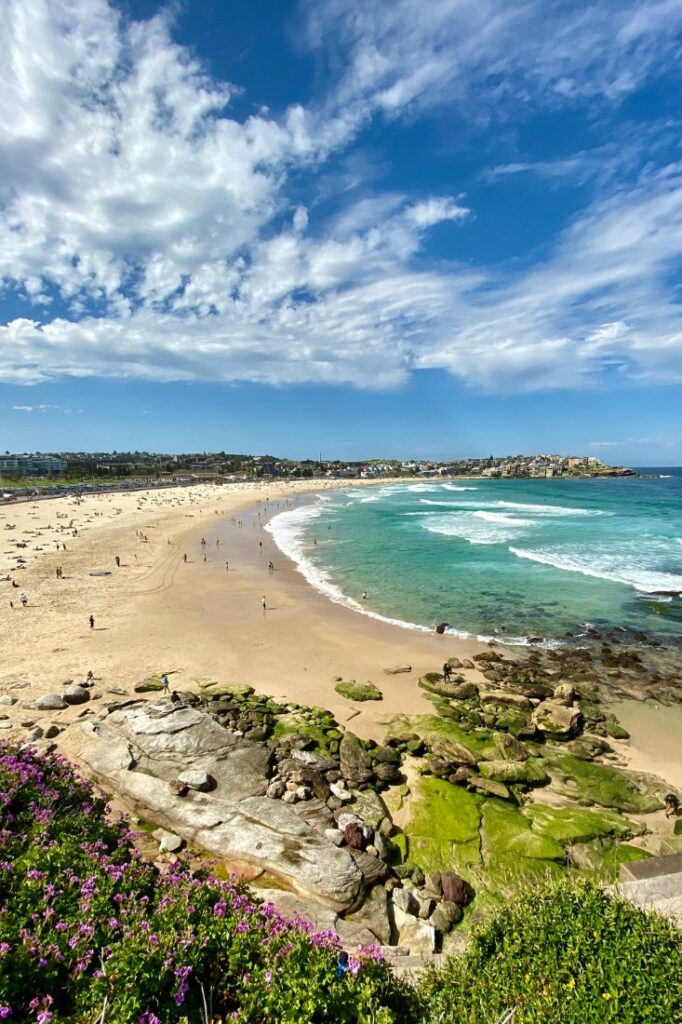 hotels in bondi