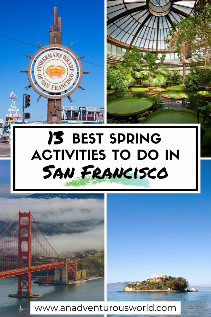 13 BEST Things to do in San Francisco in Spring