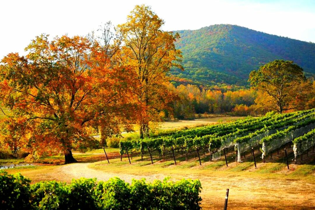 13 BEST Things to do in Atlanta in Summer (2024 Guide)