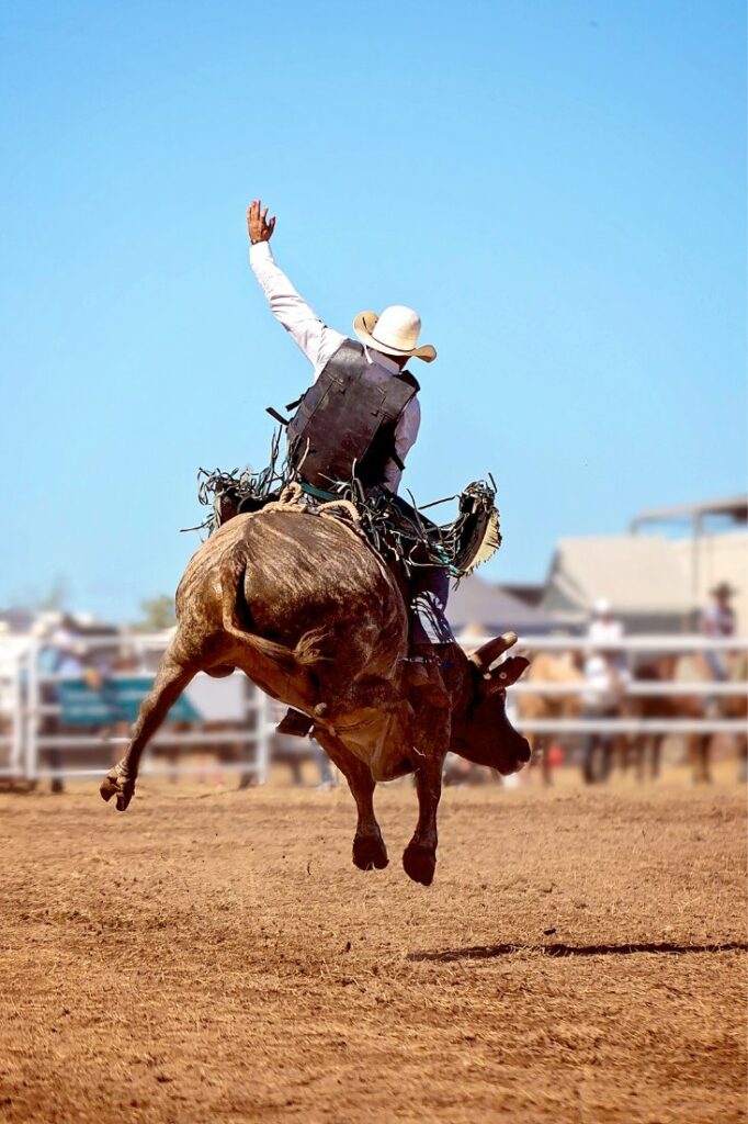 fort worth stockyards rodeo