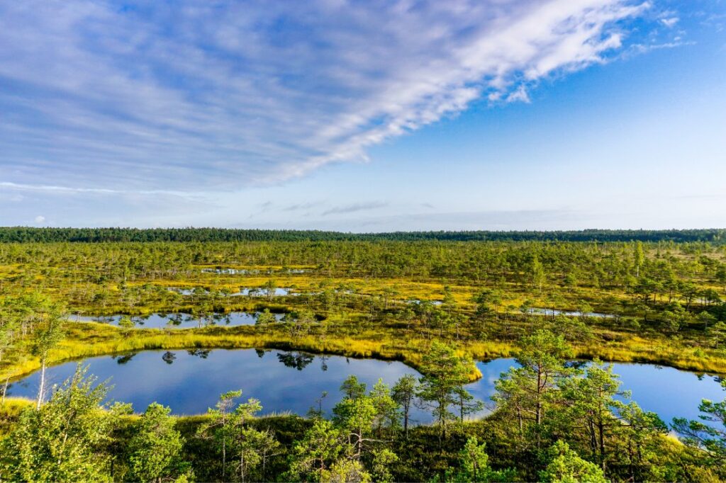 kemeri national park