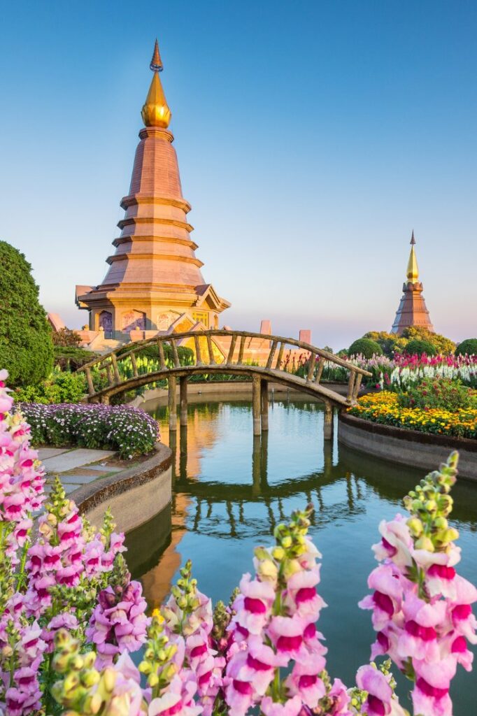 cool chiang mai hotels
