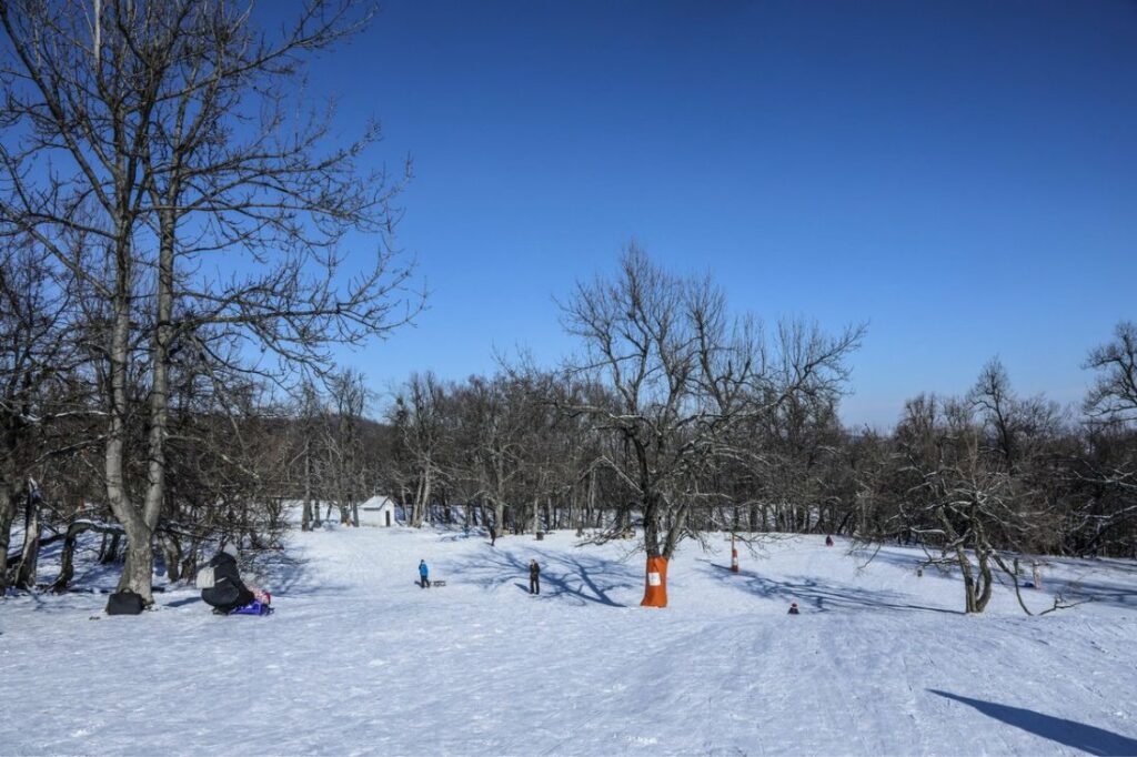 go sledding at normafa