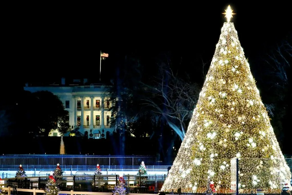 national chirstmas tree