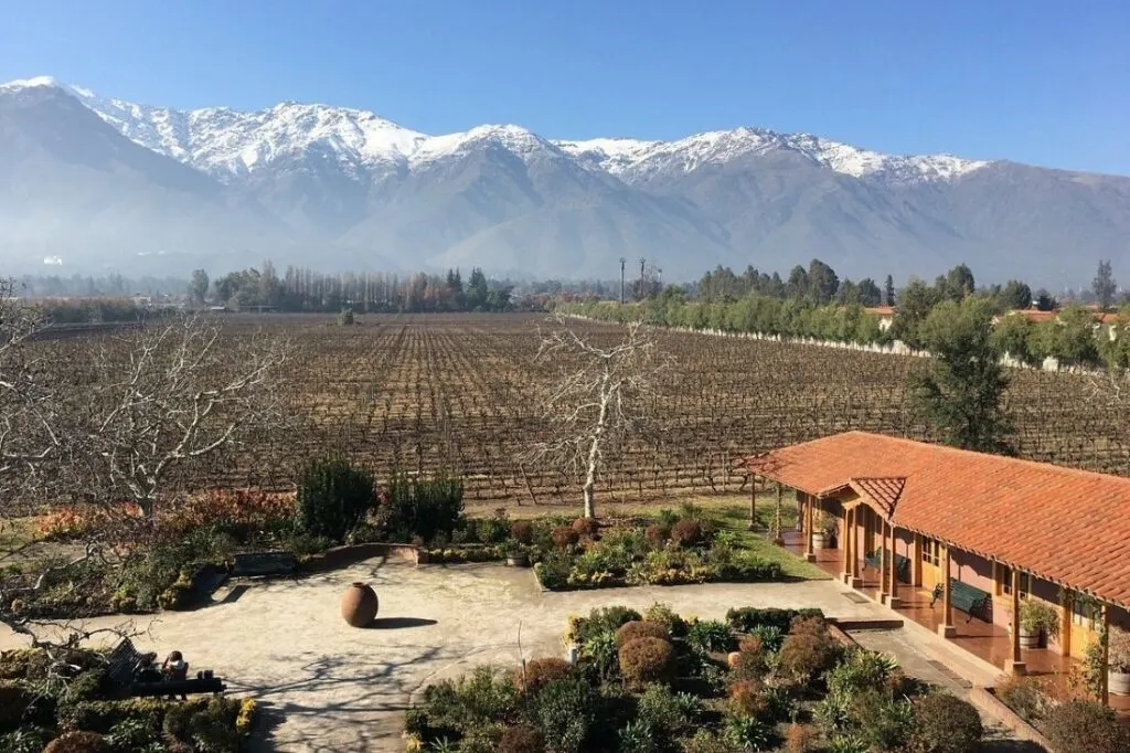 best vineyards in chile