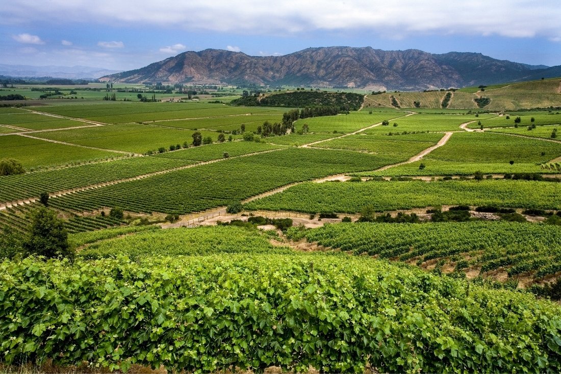 best wineries in chile