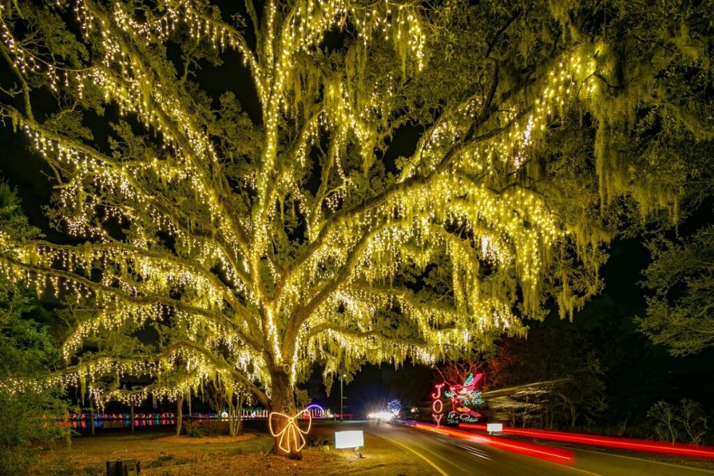 charleston holiday festival of lights