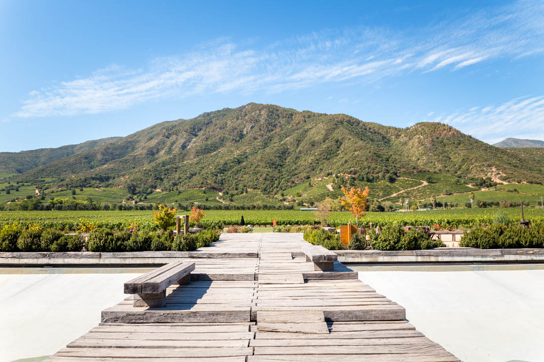 The Best Wineries in Chile You Need to Visit (2024 Guide)