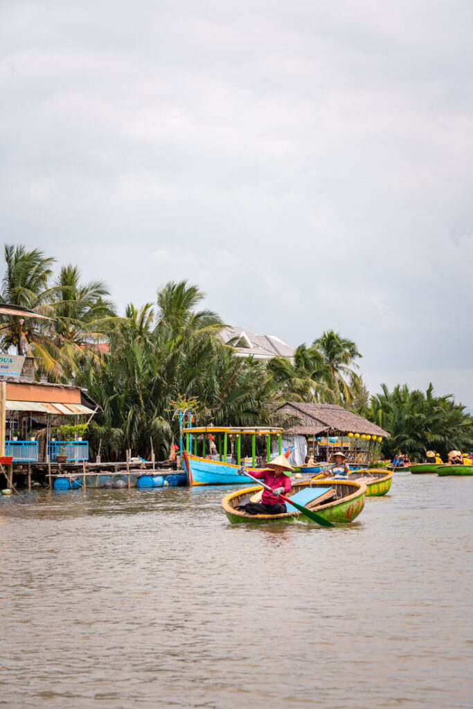 mangrove forest hoi an