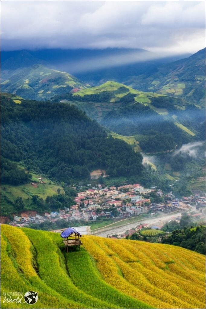 rice terraces sapa
