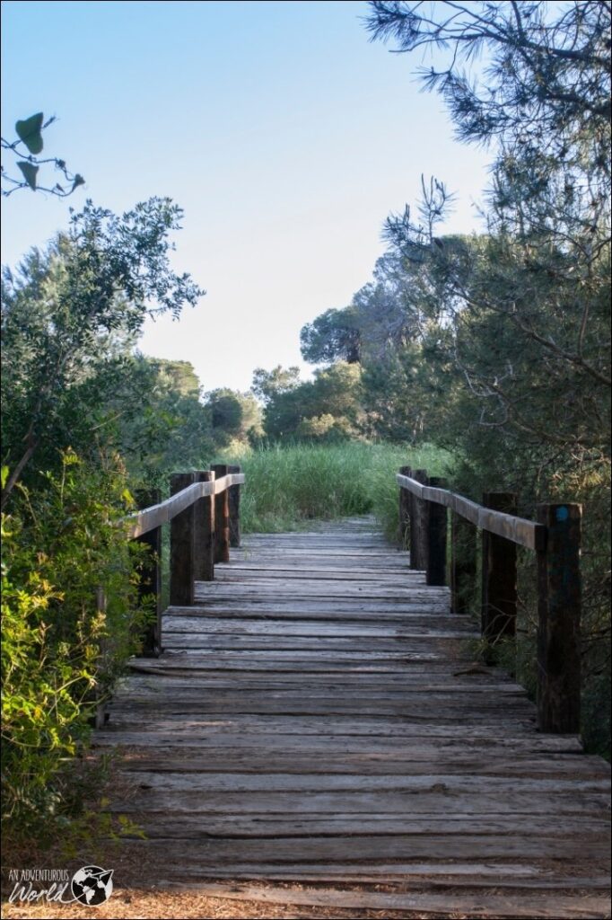 albufera natural park 