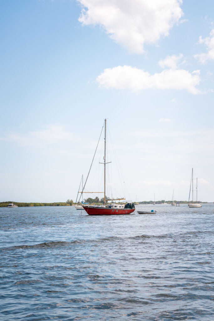 boat tour marine discovery center