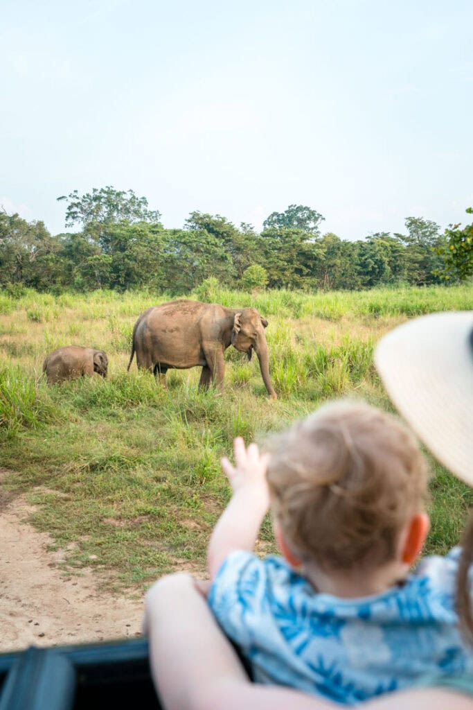 safari with kids in sri lanka