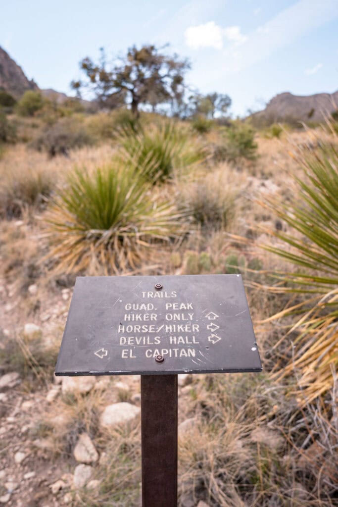singpost texas hike