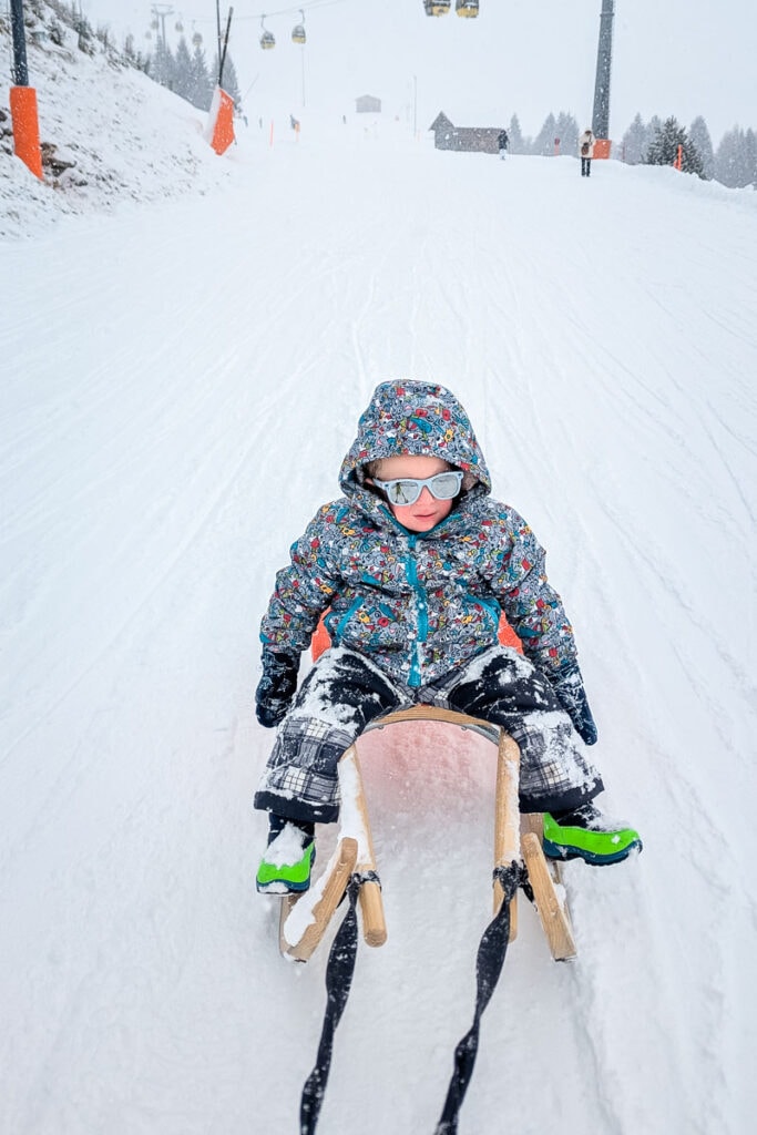 tobogganing fiss