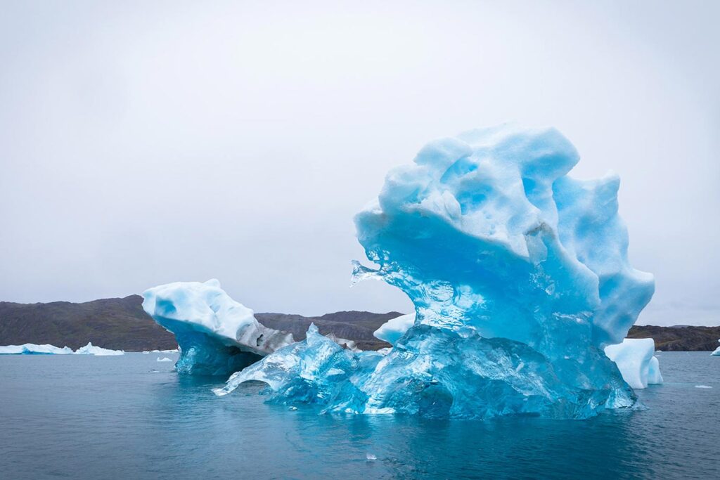 what wildlife can you see in greenland