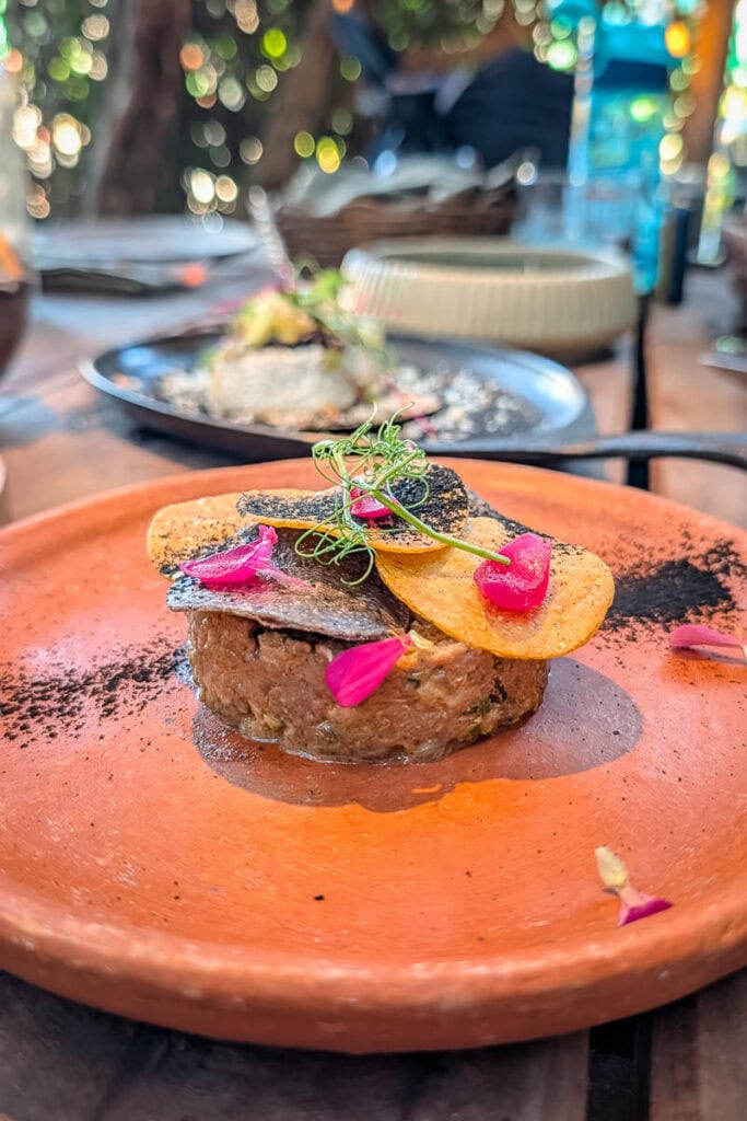 best restaurants in holbox