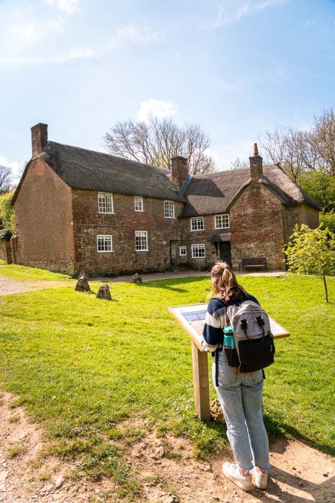 ash cottage dorset