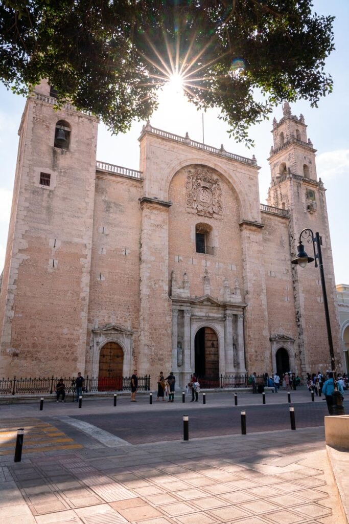 catedral de san ildefonso